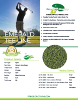 Emerald Tee Line 2023